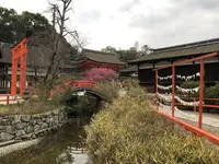 下鴨神社（賀茂御祖神社）の写真・動画_image_258464