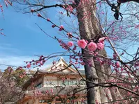 北野天満宮の写真・動画_image_258486