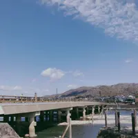 宇治橋の写真・動画_image_258532