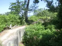 第五砲台跡の写真・動画_image_259189
