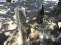 友ヶ島の写真・動画_image_259192