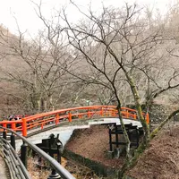 河鹿橋の写真・動画_image_259265
