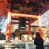 水澤観世音（水澤寺）の写真・動画_image_259273