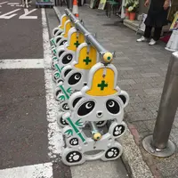 横浜中華街の写真・動画_image_259322