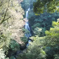 神門神社の写真・動画_image_259343