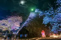 延岡城址の写真・動画_image_259727