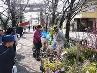 菊池市隈府御所通りの写真・動画_image_259766