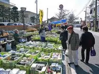 菊池市隈府御所通りの写真・動画_image_259767