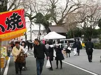 菊池市隈府御所通りの写真・動画_image_259768