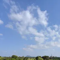 Aliya Resort & Spaの写真・動画_image_260079
