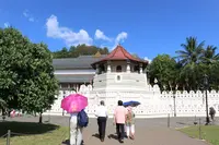 佛歯寺の写真・動画_image_260099