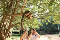 シギリヤの写真・動画_image_260159