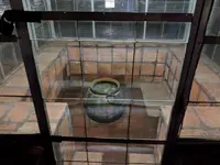 ダンブッラ石窟寺院の写真・動画_image_260172