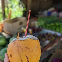 Inamaluwa - Sigiriya Rdの写真・動画_image_260176