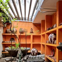 Barefootの写真・動画_image_260193