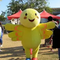 兵庫県の写真・動画_image_260393