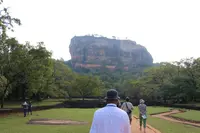 シギリヤの写真・動画_image_260450