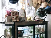 branch（ブランチ）の写真・動画_image_260498