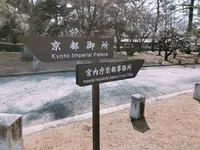 京都御苑の写真・動画_image_260605