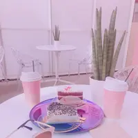 Orbit Cafe & Guest Houseの写真・動画_image_260787