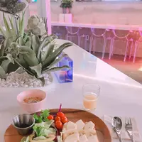 Orbit Cafe & Guest Houseの写真・動画_image_260788