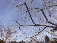 箱根ガラスの森美術館の写真・動画_image_260939