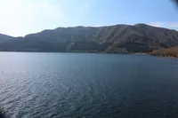桃源台港の写真・動画_image_260945