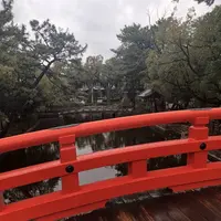 住吉大社の写真・動画_image_261031