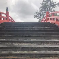 住吉大社の写真・動画_image_261032