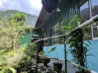Mackwoods Tea Centerの写真・動画_image_261076