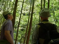 日之影川の写真・動画_image_261218