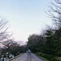 蹴上インクラインの写真・動画_image_261338