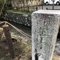 哲学の道の写真・動画_image_261342