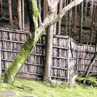銀閣寺(東山慈照寺)の写真・動画_image_261350