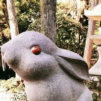 岡崎神社の写真・動画_image_261355