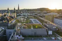 リンツの写真・動画_image_261388