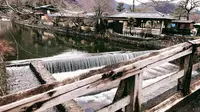 渡月橋の写真・動画_image_261465
