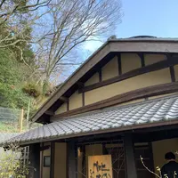 無雙庵枇杷の写真・動画_image_261524