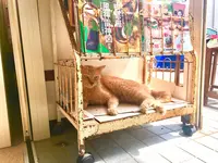 三崎漁港の写真・動画_image_261869