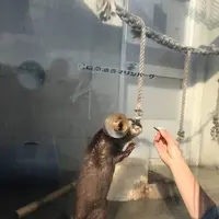 【閉業】京急油壺マリンパークの写真・動画_image_261925