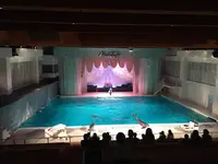 【閉業】京急油壺マリンパークの写真・動画_image_261926