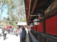 北野天満宮の写真・動画_image_261950