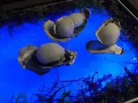 野々香の写真・動画_image_262050