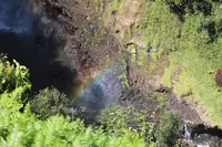 アカカ滝の写真・動画_image_262123