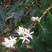 村松小農園の写真・動画_image_262183