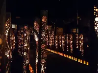 ほの宵まつりの写真・動画_image_262255
