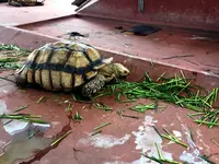 神戸市立須磨海浜水族園の写真・動画_image_262330