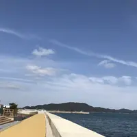 鳥羽マルシェの写真・動画_image_262370