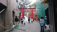富士スバルライン五合目の写真・動画_image_262439