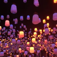 【閉業】森ビルデジタルアートミュージアム：エプソン チームラボボーダレス（MORI Building Digital Art Museum: EPSON teamLab Borderless）の写真・動画_image_262528